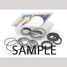 Honda TRX300 Rear Differential Bearing & Seal Kit Fourtrax 300 TRX300FW 88-00 (FREE USPS SHIPPING