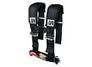 Dragon Fire Black 4 Point Harnesses